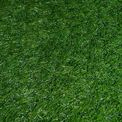 Srilanka 20mm Çim Halı